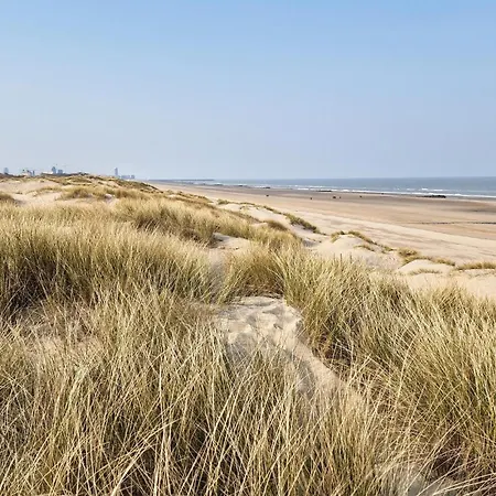 Awesome In * Bredene