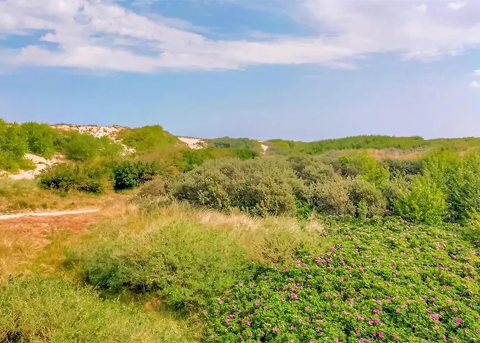 Апартаменты Awesome In *