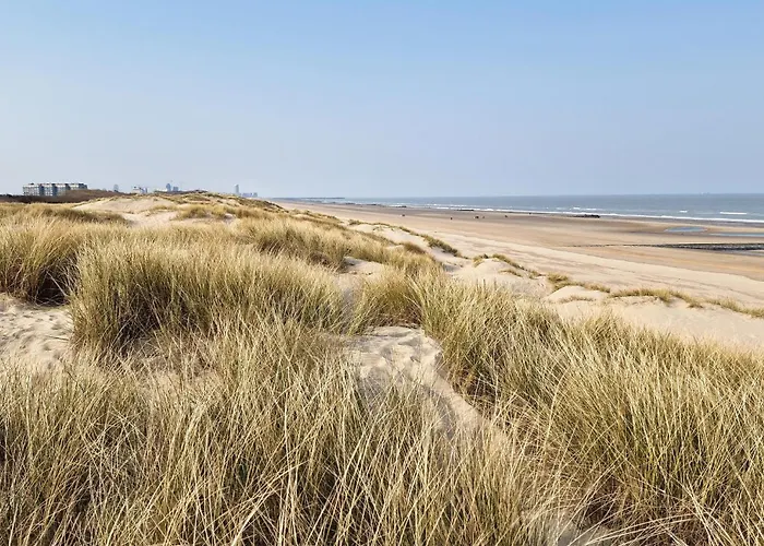 Awesome In * Бреден